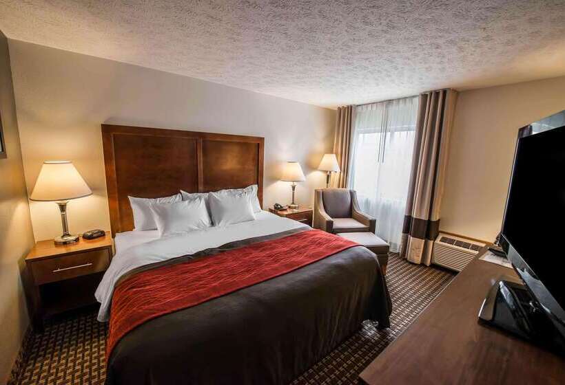 호텔 Comfort Inn Atkinsmarion I81