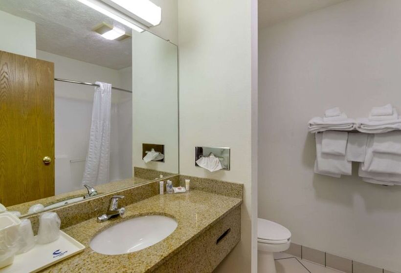 호텔 Comfort Inn Atkinsmarion I81