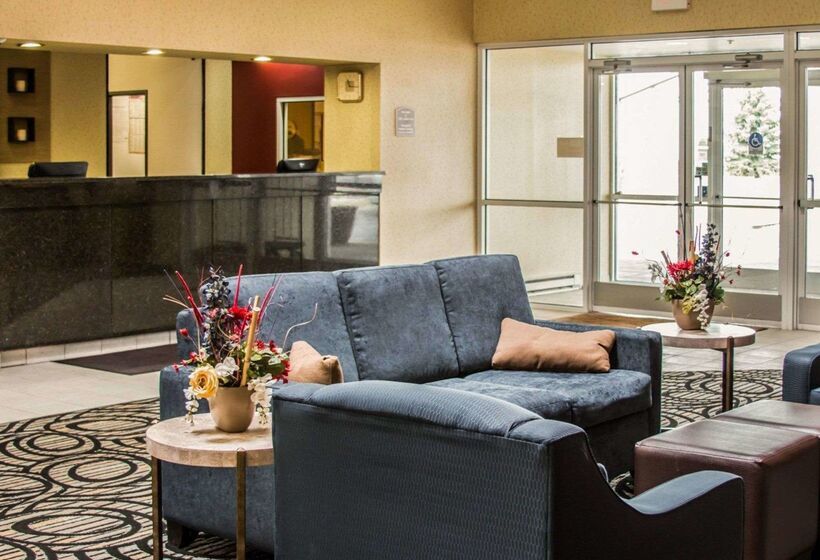 فندق Comfort Inn