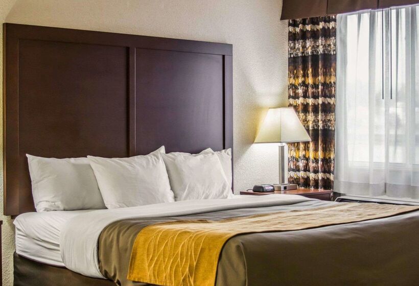 فندق Comfort Inn