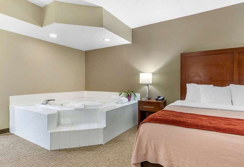 בית מלון כפרי Comfort Inn Blythewood  North Columbia