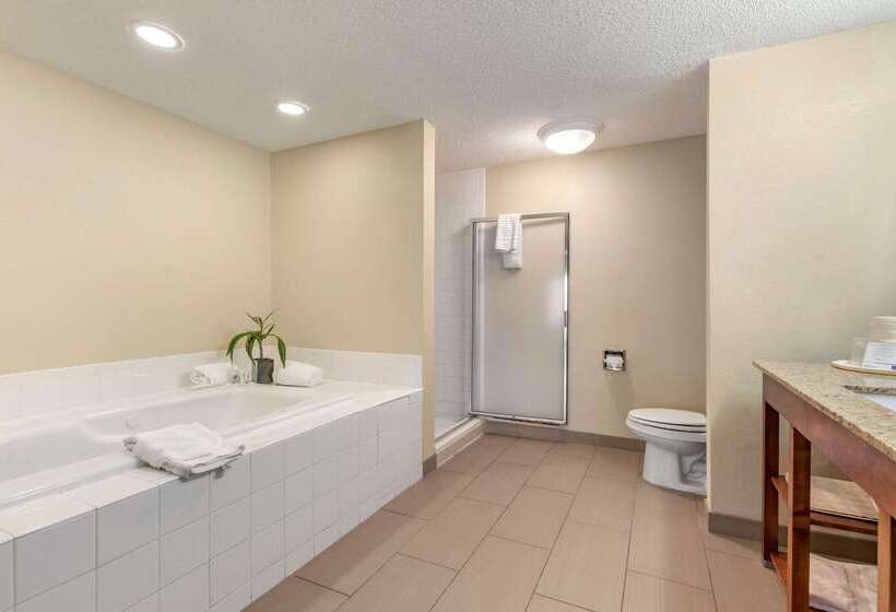 فندق Comfort Inn Blythewood  North Columbia