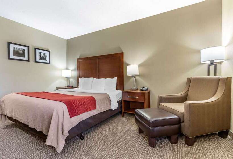 בית מלון כפרי Comfort Inn Blythewood  North Columbia