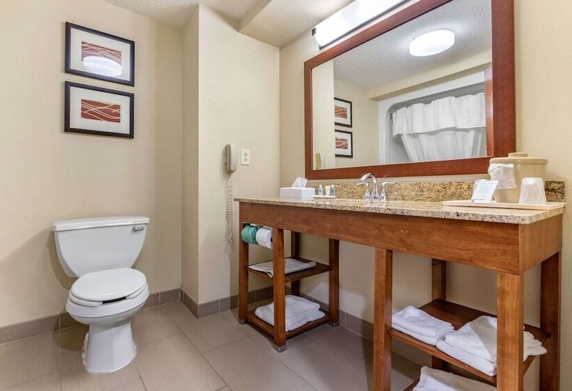 בית מלון כפרי Comfort Inn Blythewood  North Columbia