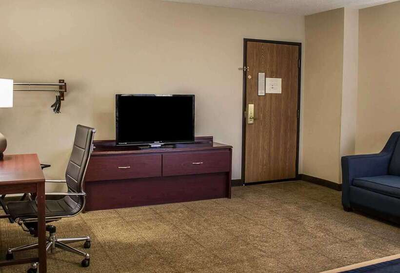 호텔 Comfort Inn