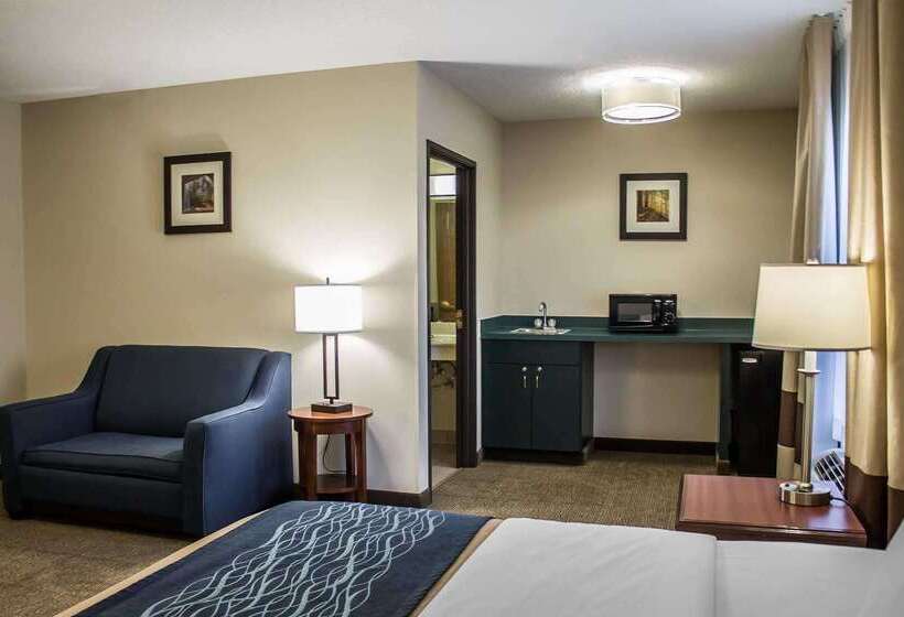 호텔 Comfort Inn