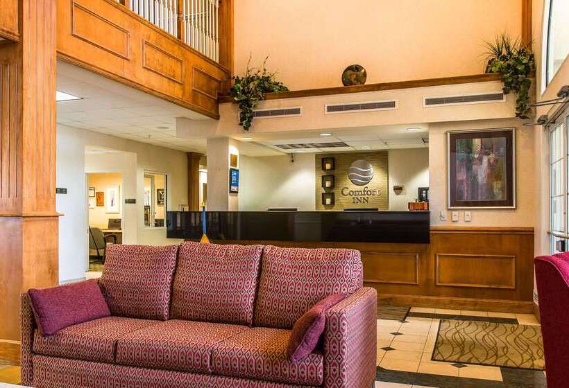 Отель Comfort Inn