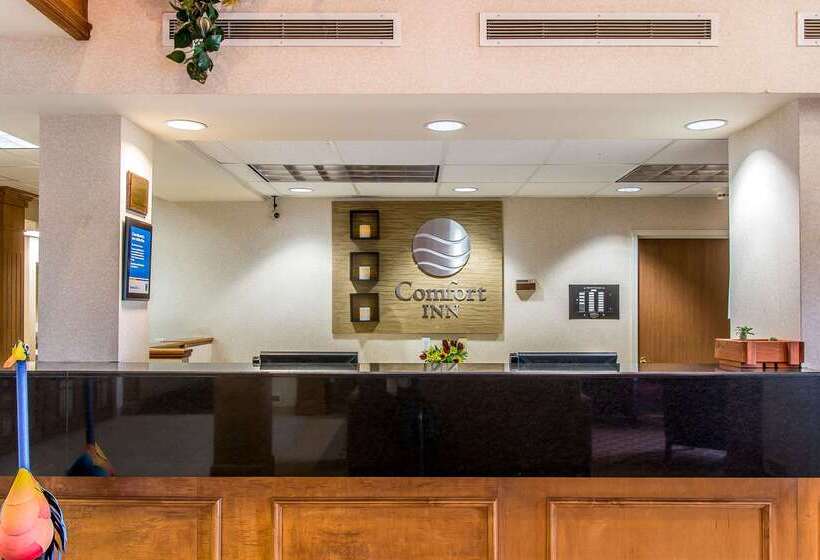 酒店 Comfort Inn