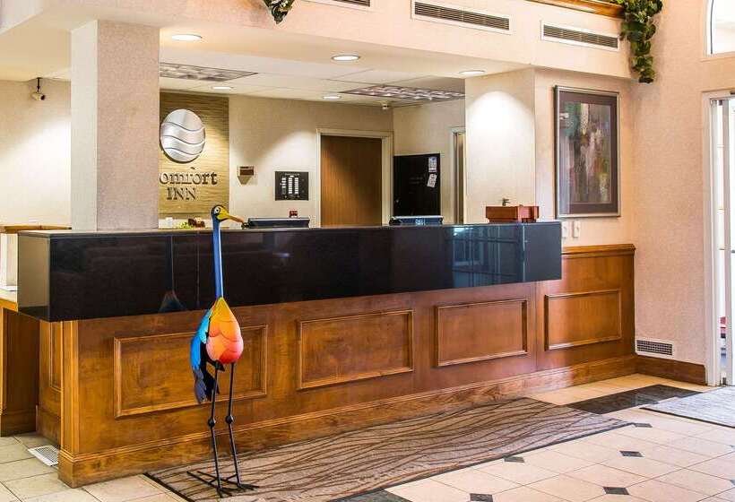 Отель Comfort Inn