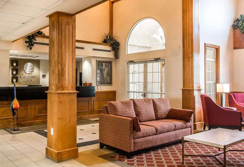 Отель Comfort Inn