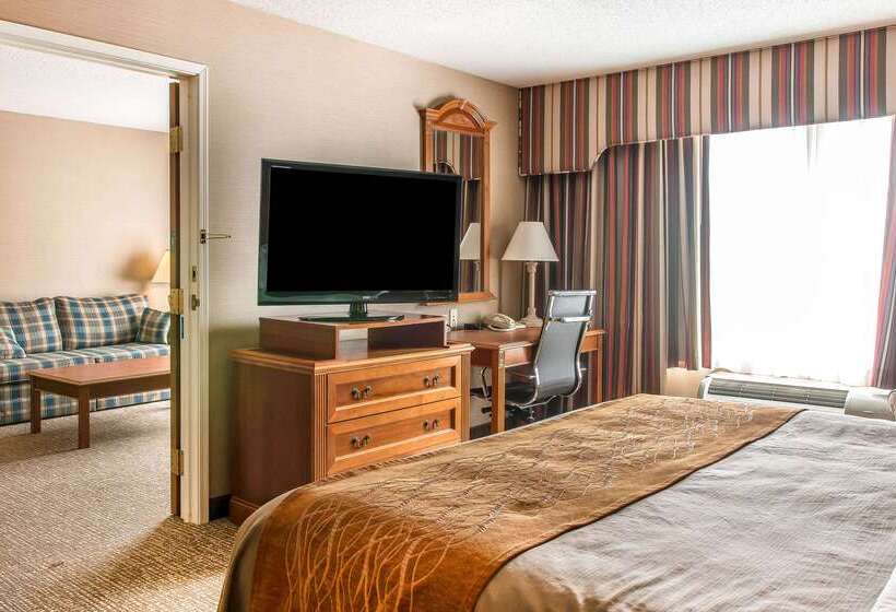 Отель Comfort Inn