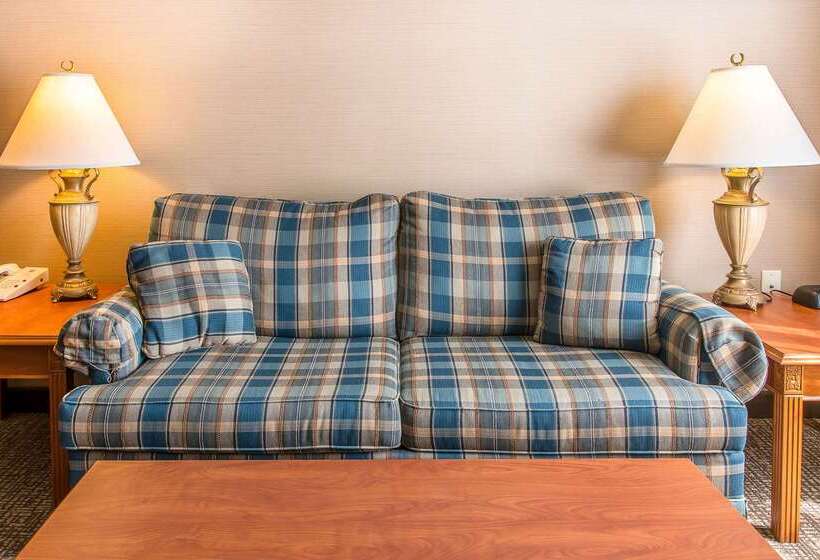 Отель Comfort Inn