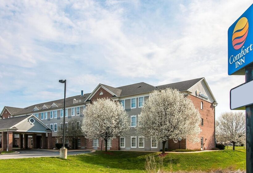 Отель Comfort Inn