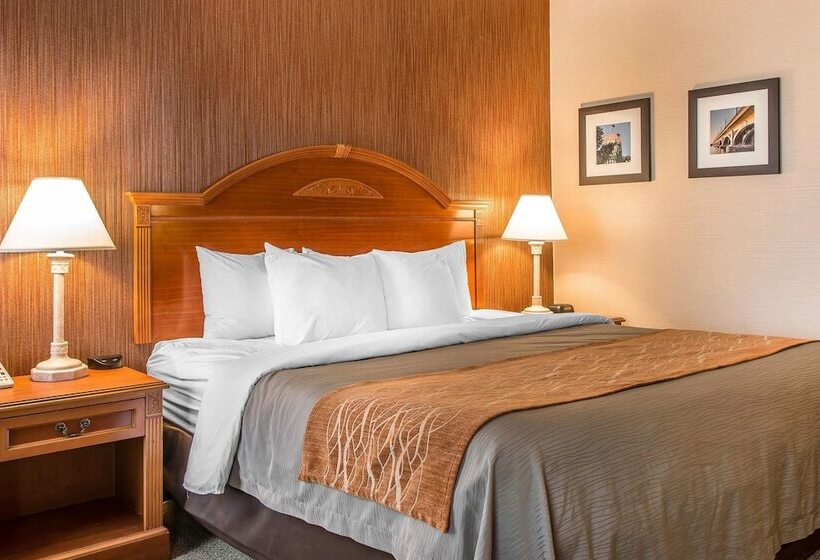 Отель Comfort Inn