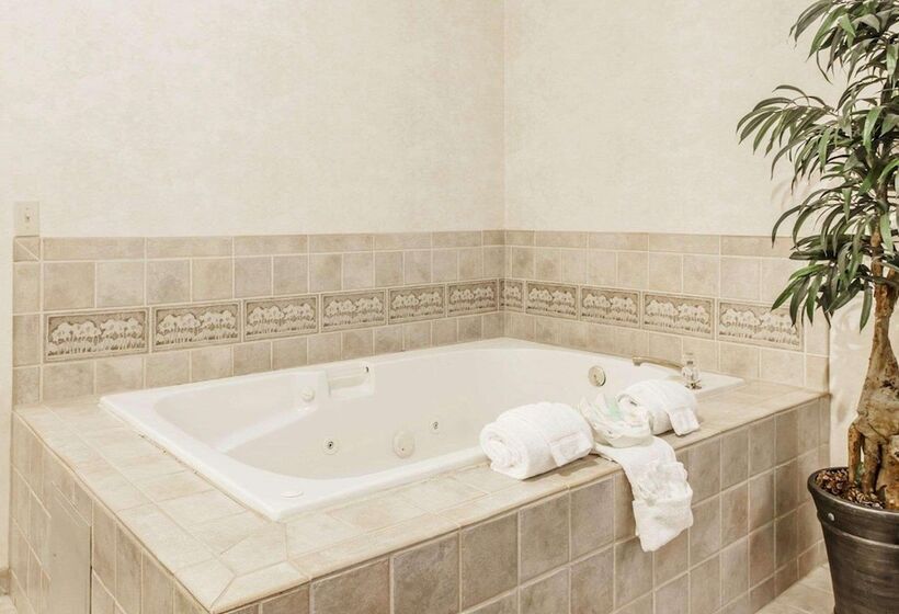 فندق Holiday Inn Express & Suites Tumwater – Olympia By Ihg