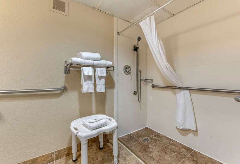 ホテル Comfort Inn Cranberry Twp
