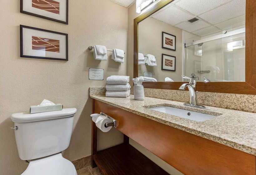 ホテル Comfort Inn Cranberry Twp