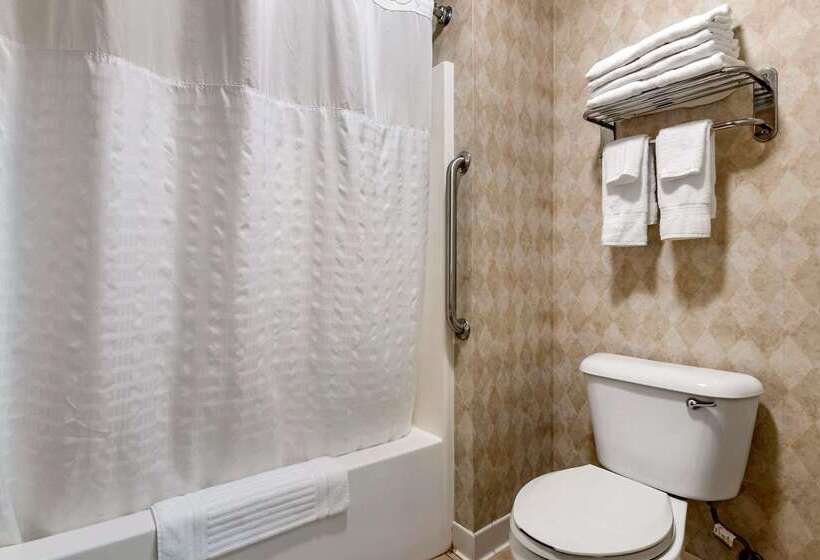 בית מלון כפרי Comfort Inn Dyersville Near The Field Of Dreams