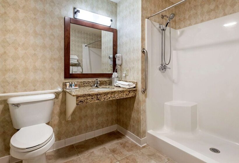 בית מלון כפרי Comfort Inn Dyersville Near The Field Of Dreams