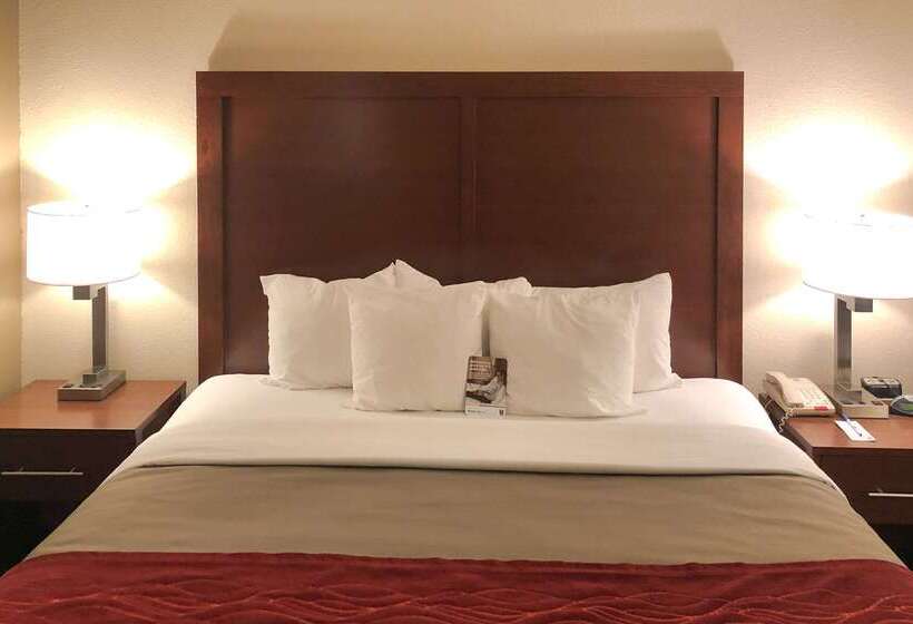 ホテル Comfort Inn Early Brownwood