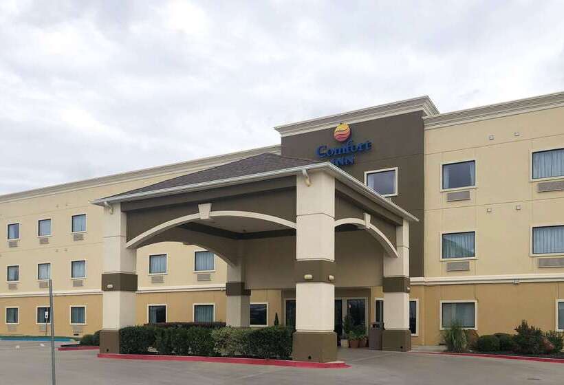 ホテル Comfort Inn Early Brownwood