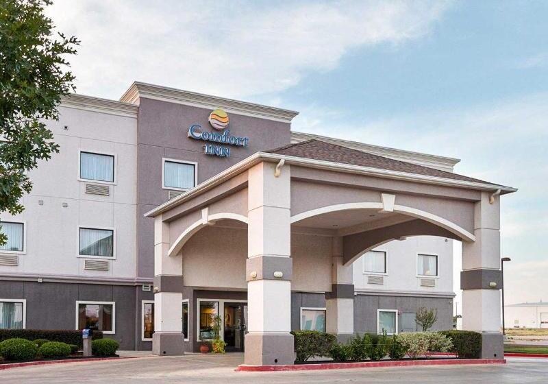 ホテル Comfort Inn Early Brownwood