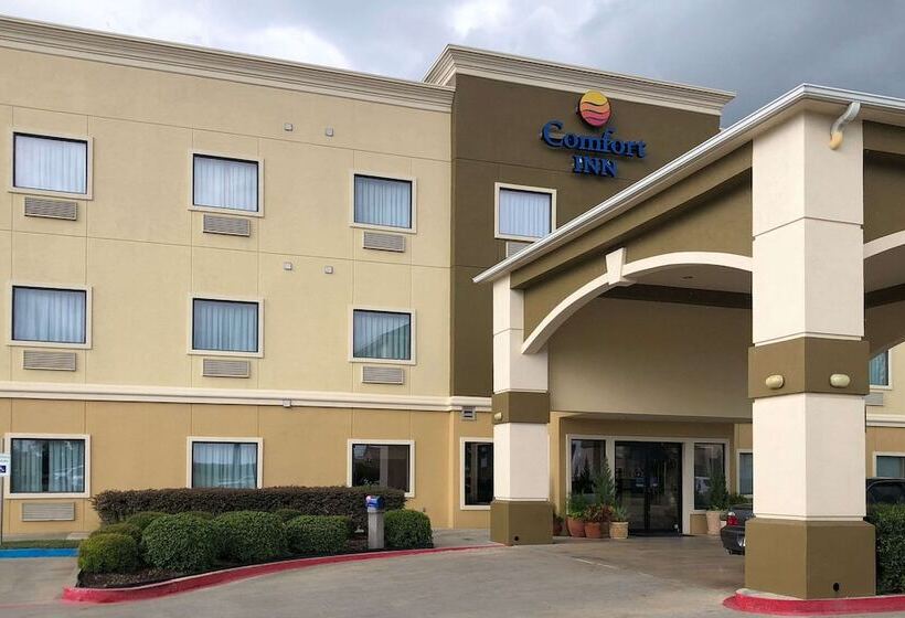 ホテル Comfort Inn Early Brownwood