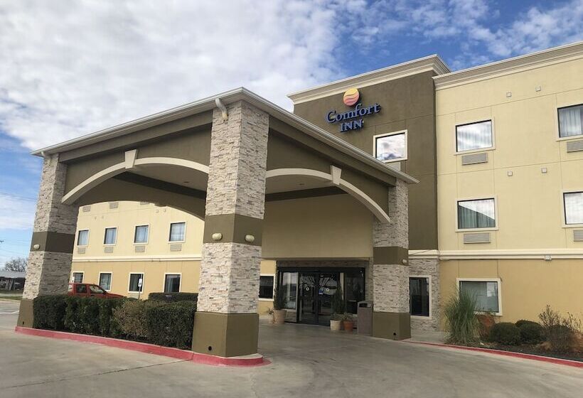 ホテル Comfort Inn Early Brownwood