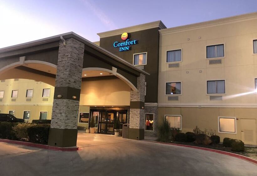 ホテル Comfort Inn Early Brownwood