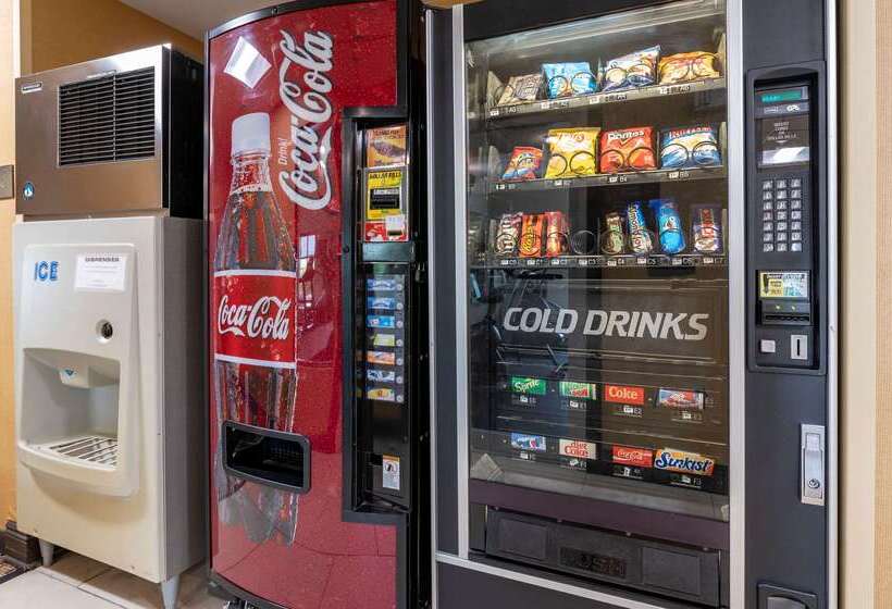 בית מלון כפרי Comfort Inn East