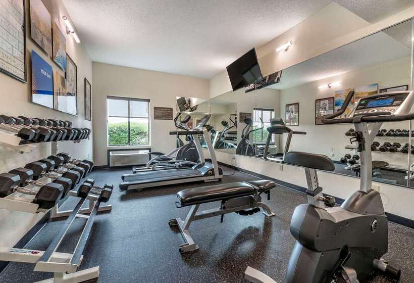 בית מלון כפרי Comfort Inn East