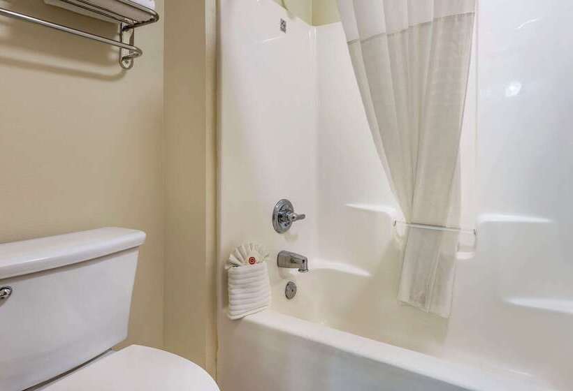 בית מלון כפרי Comfort Inn East