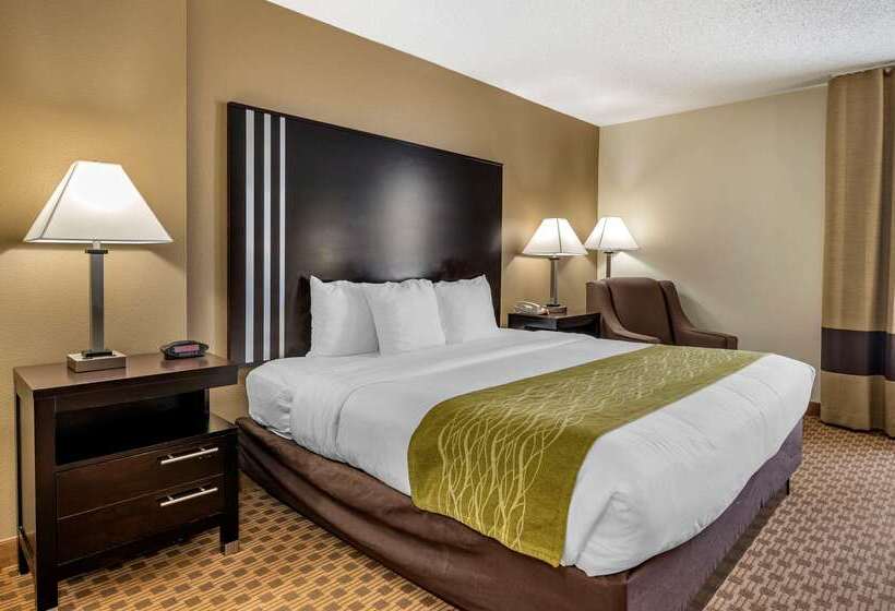 בית מלון כפרי Comfort Inn East