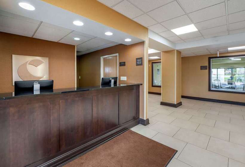 בית מלון כפרי Comfort Inn East