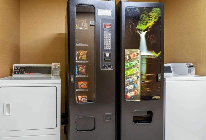 בית מלון כפרי Comfort Inn East