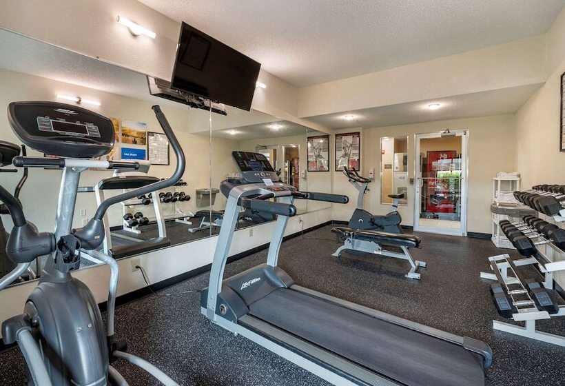 בית מלון כפרי Comfort Inn East