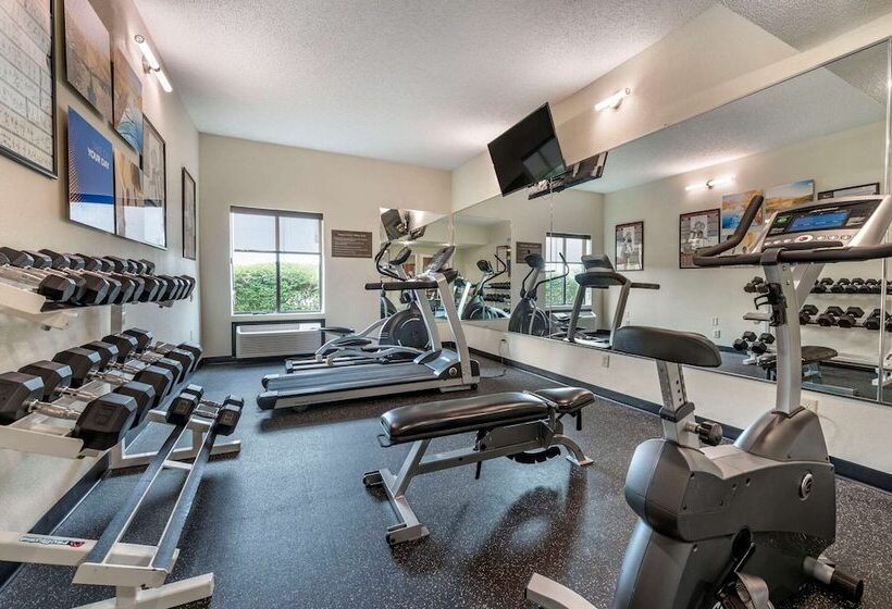 בית מלון כפרי Comfort Inn East