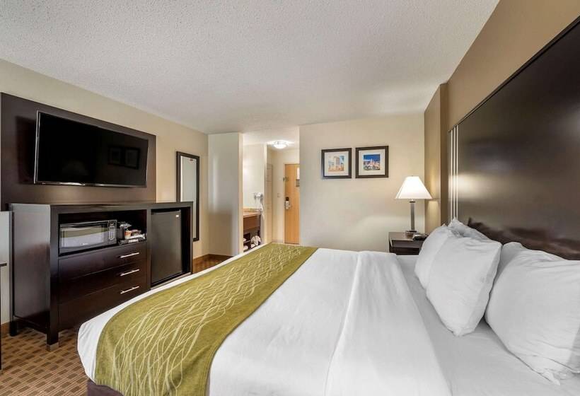 בית מלון כפרי Comfort Inn East