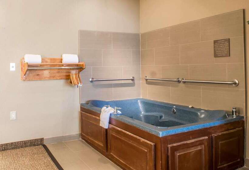 בית מלון כפרי Comfort Inn Edinburg South