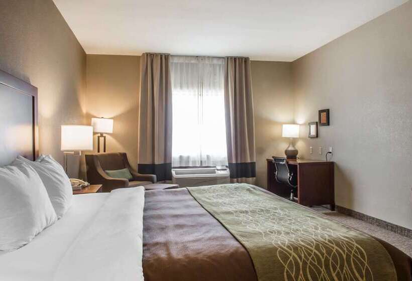 בית מלון כפרי Comfort Inn Edinburg South