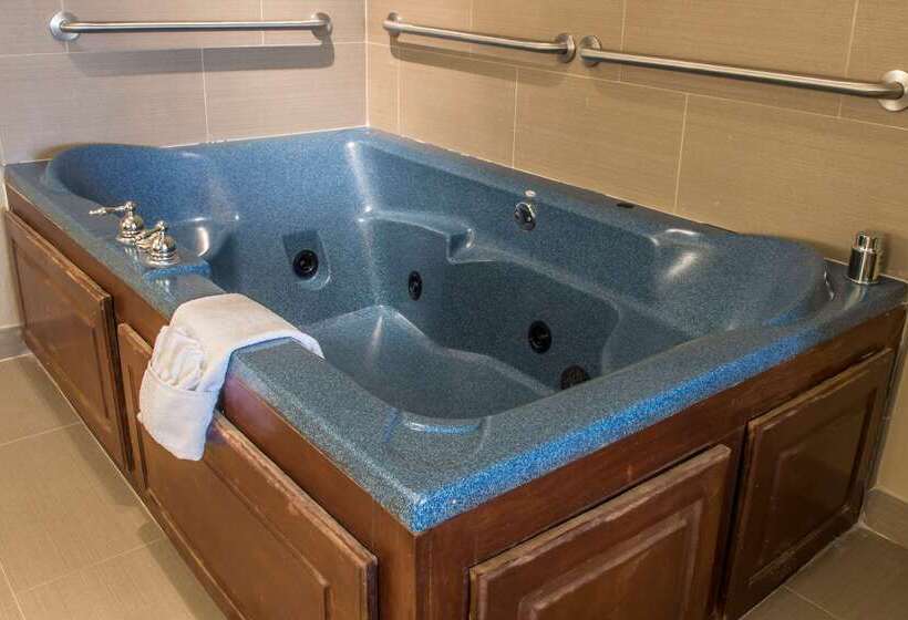 בית מלון כפרי Comfort Inn Edinburg South