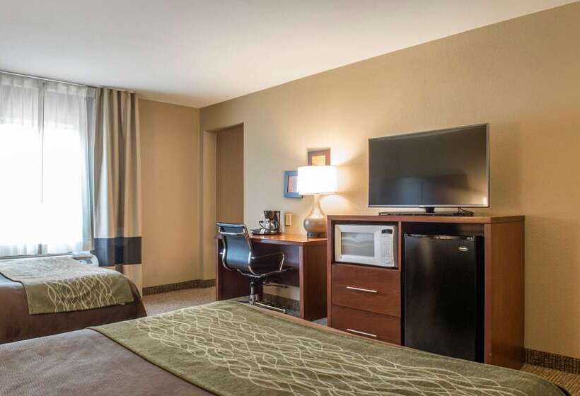 בית מלון כפרי Comfort Inn Edinburg South