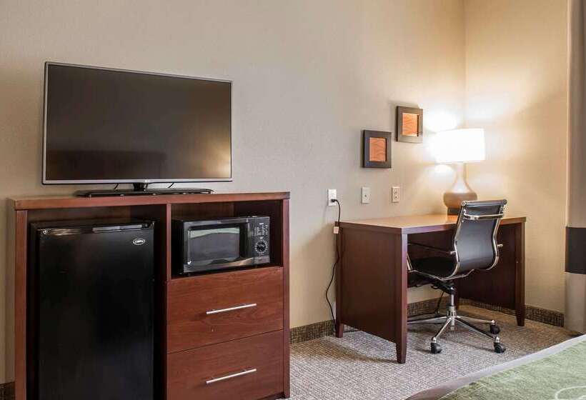 בית מלון כפרי Comfort Inn Edinburg South