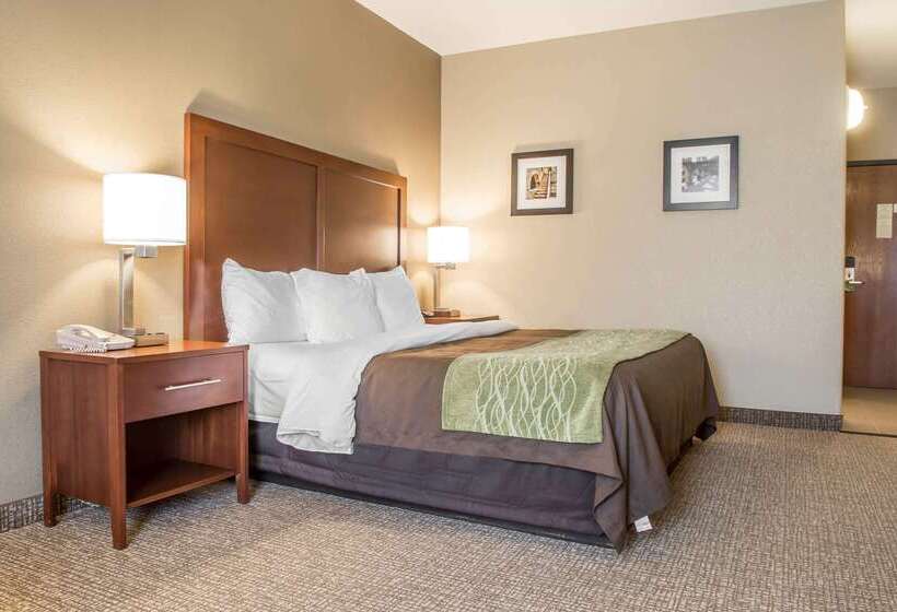 בית מלון כפרי Comfort Inn Edinburg South