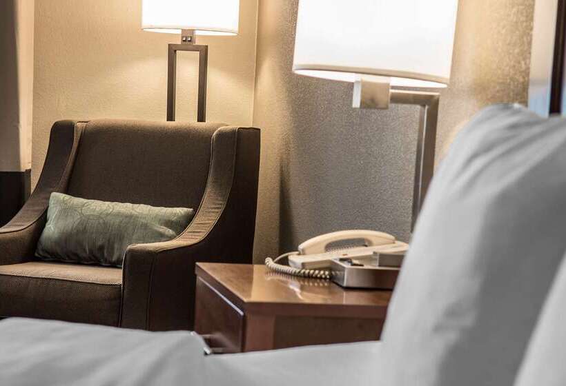 בית מלון כפרי Comfort Inn Edinburg South