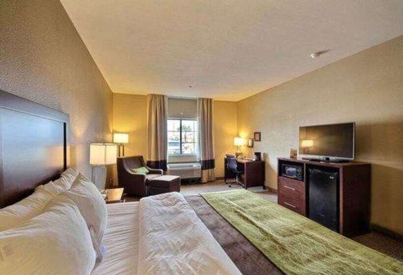 בית מלון כפרי Comfort Inn Edinburg South