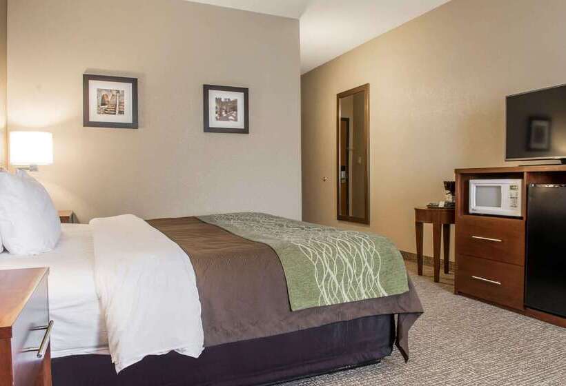 בית מלון כפרי Comfort Inn Edinburg South