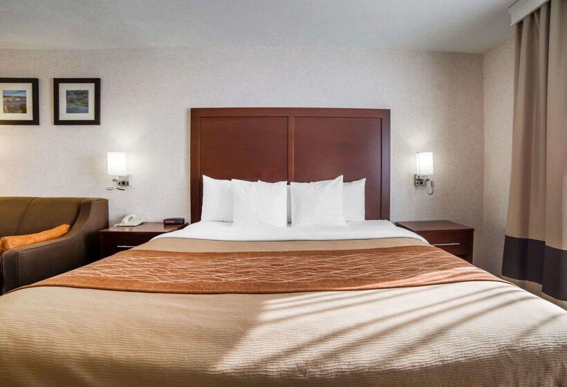 בית מלון כפרי Comfort Inn Elko