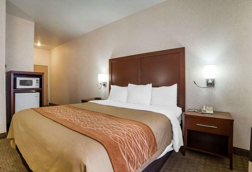 בית מלון כפרי Comfort Inn Elko
