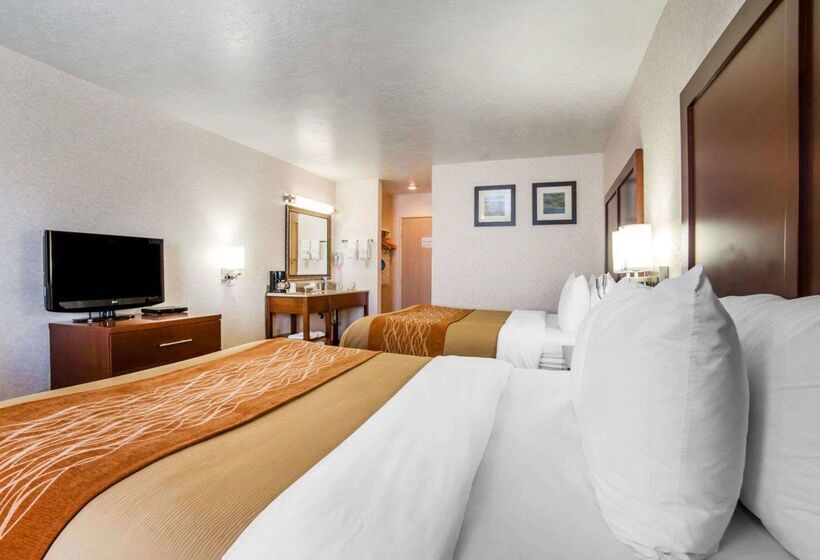 בית מלון כפרי Comfort Inn Elko